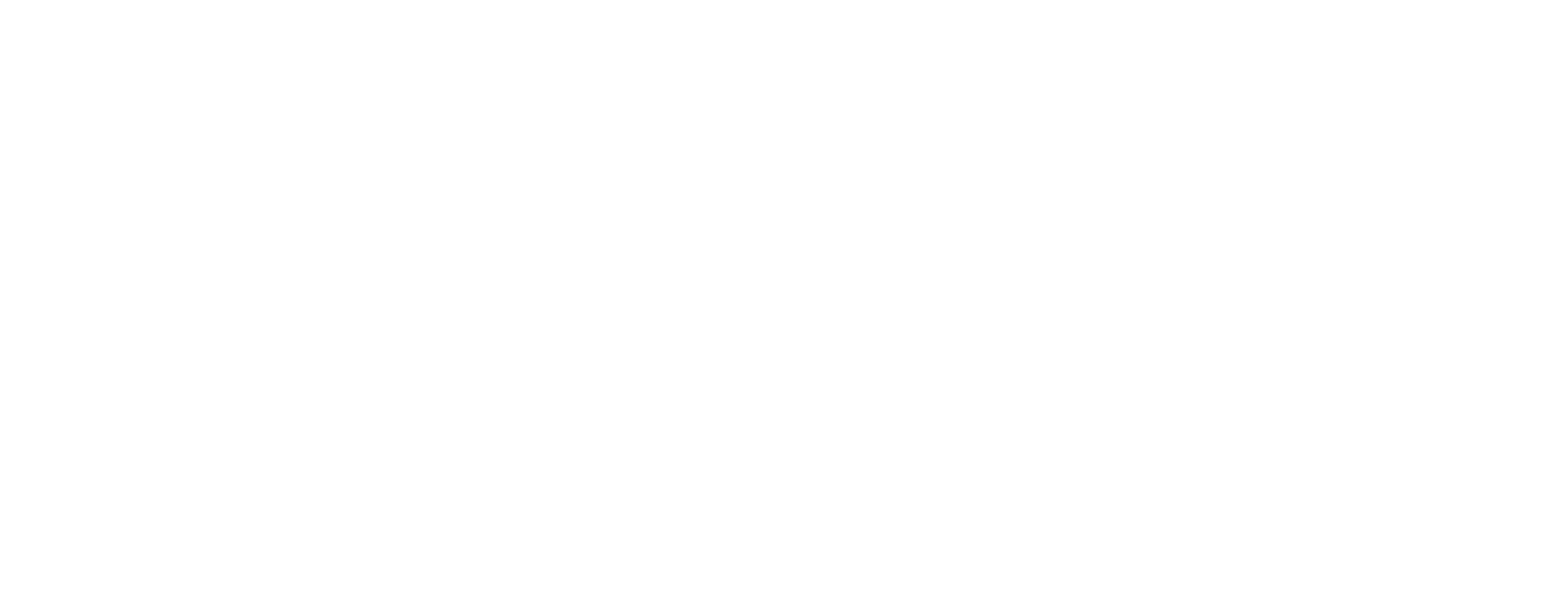 Flicsystems